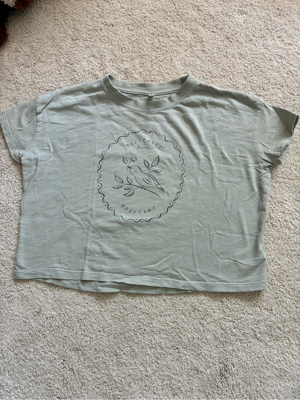 Rylee + Cru Sage Green Short Sleeve Tee with Bird Graphic
